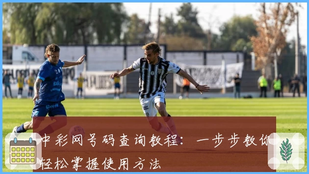 中彩网号码查询教程:一步步教你轻松掌握使用方法