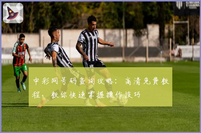 中彩网号码查询攻略：高清免费教程，教你快速掌握操作技巧