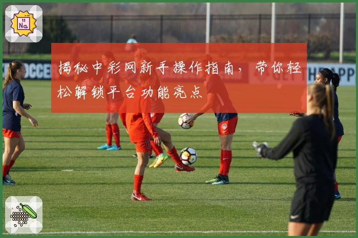 揭秘中彩网新手操作指南，带你轻松解锁平台功能亮点