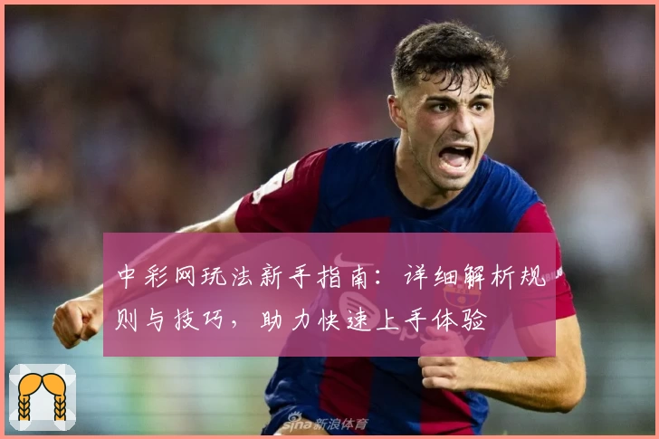 中彩网玩法新手指南：详细解析规则与技巧，助力快速上手体验