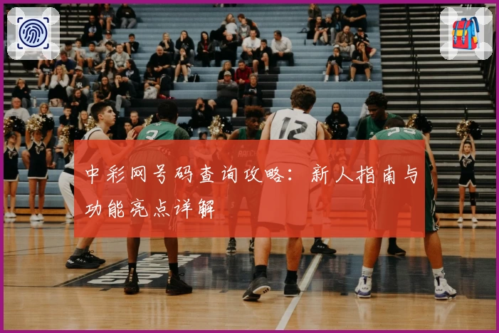 中彩网号码查询攻略：新人指南与功能亮点详解