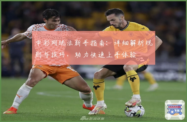 中彩网玩法新手指南：详细解析规则与技巧，助力快速上手体验