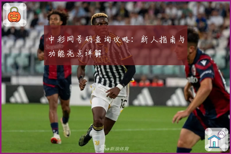 中彩网号码查询攻略:新人指南与功能亮点详解