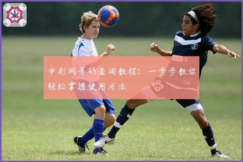 中彩网号码查询教程：一步步教你轻松掌握使用方法